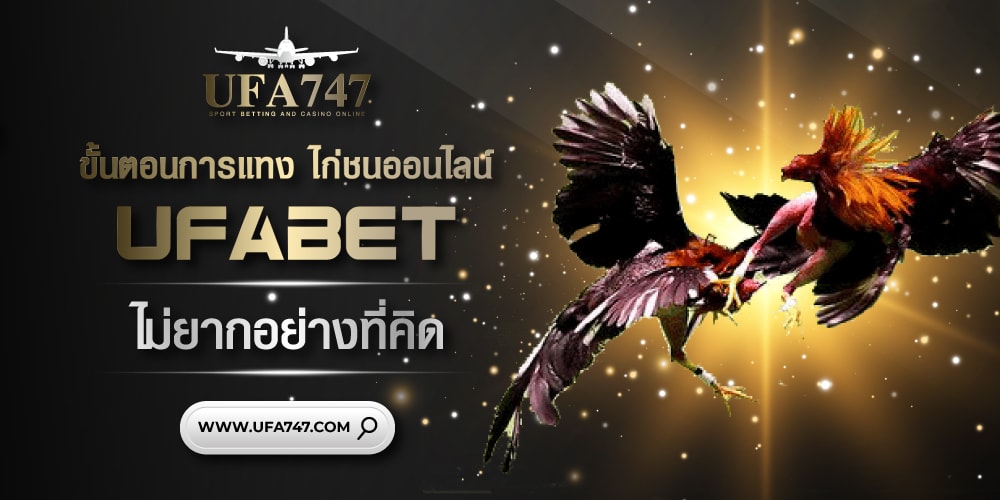 ขั้นตอนการแทง ไก่ชนออนไลน์